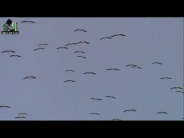 【シリア】　ある日の風景