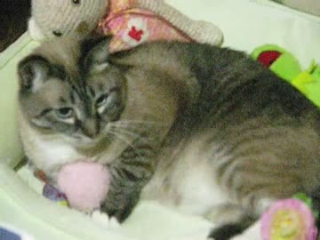 久々にママがジャンくんをナデナデ　よかったね