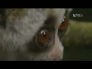 ひゃくごじゅういち