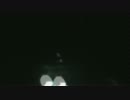 39(サンキュー)　歌ってみた Ver.ハルカ*