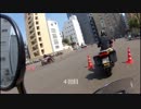 ゆめねこたんのパイロンスラローム（目が回るよｘ１０）