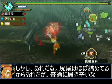 【東方】誘われてユクモ村　リオレウス希少種戦２【ＭＨ】