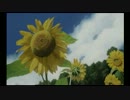 くろうのなつやすみ　１