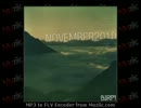 NazcarNation - Beeswax ( unouomedude remix )