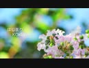 【結月ゆかり】はじまり【KOKIA】