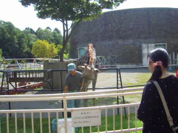 【ゆっくり】鉄道で日本一周part61【北海道】