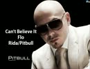 【プチ(´∀｀∩)↑age↑】PitBull縛りMIX【お祭り番長】