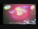 【実況】2人でわいわい聖剣伝説レジェンドオブマナ part9