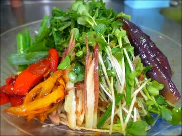 夏のさっぱりバルサミコ酢冷やし中華