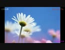 【ニコカラ】小さな星 _ 奥華子 ★歌詞付き【ONVOCAL】
