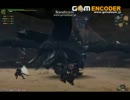 HCディアブロス亜種戦