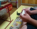 太鼓の達人Wii4 〆ドレー2000 【手元参考動画】