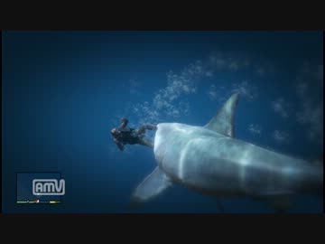 【GTA V】スキューバダイビング