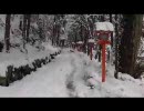 雪の京都に行ってみた(2/3)