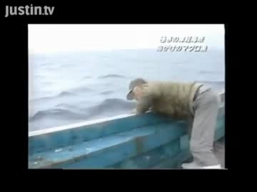 【永井先生】マグロ動画鑑賞その１