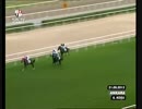 【世界の競馬場から】2013年トルコセントレジャー　フライバイミー