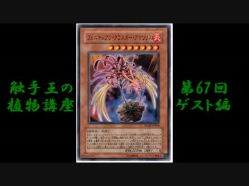 カード考察 闇水炎リゾネーター Hermitの遊戯王研究所 ブロマガ