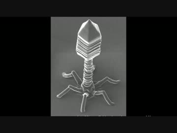 真鍮でt2ファージ作ってみた