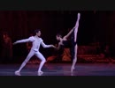 Swan Lake - Black Swan - Mariinsky Ballet 2013