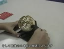 アトリエさくら第二回プレゼントキャンペーン抽選
