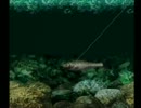 【川のぬし釣り～秘境を求めて～】実況プレイ5