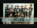 EXO CP考察2