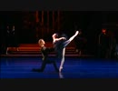 Swan Lake - Black Swan - Sweden Royal Ballet 2002