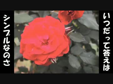 【旅動画】英語力0の男が日本飛び出してみた その19【じょう太】