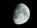 Rabbit in the Moon