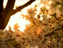 【歌ってみた】千本桜【kaz】