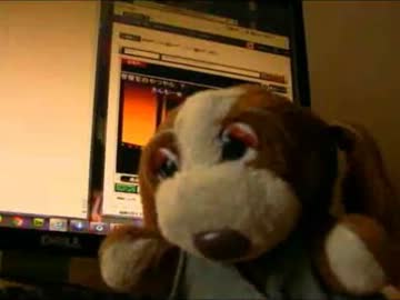 いぬわんたんのむっちゃ怖い話