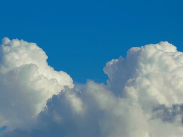 【オリジナル】鳥の歌【インストメンタル】