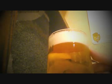 【鏡音リン】Days of Beer and Beer 【オリジナル】