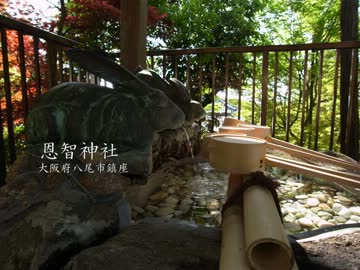 【高画質】古社の風景 ～河内 恩智神社～