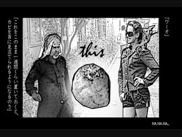 【public domain theater】ジャリルと苔栽培