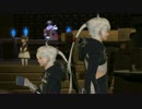 FINAL FANTASY XIV ARR - メインストーリー Part.029