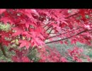 【パクリ曲作って歌ってみた】【元歌わかる？】