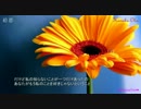 【ニコカラ】　初恋 _ 奥華子 ★歌詞あり　【ONVOCAL】