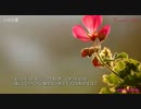 【ニコカラ】　小さな星 _ 奥華子 ★歌詞付き 【ONVOCAL】