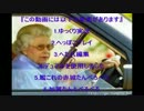 ゆっくり新兵が戦場を駆け回るよ part3