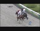 3歳未勝利_ウインドストリーム