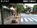 20130929-1 NER=ネル 2 2
