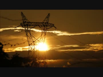 ヒグラシの声　24分ほど