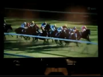 【永井先生】スプリンターズＳ観戦（2013年）