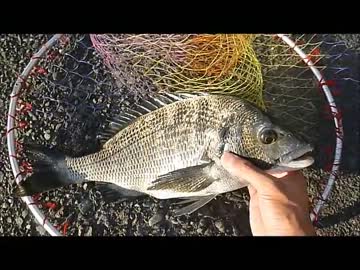 また紀州釣りに行く！