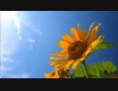 【弾いてみた】summer【久石譲】