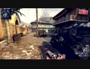 PC版【COD:BO2】 FFA 鬼畜カスタム