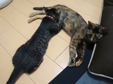赤ちゃん返り？