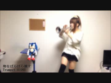 【トランペットで】物をぱらぱら壊す【壊してみた】