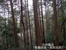 作業用BGS６　「音の風景2・日本各地の鳥達」